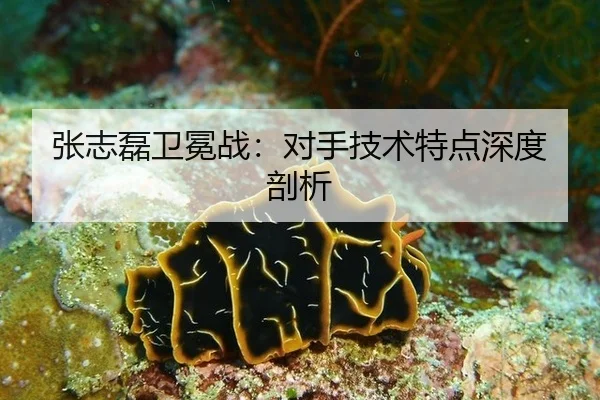 张志磊卫冕战：对手技术特点深度剖析