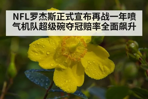 NFL罗杰斯正式宣布再战一年喷气机队超级碗夺冠赔率全面飙升